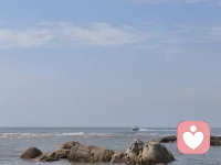 摔过跟头，听过闲话，可骨子里从不愿碌碌一生。明知前路难，脆弱过，却始终不肯认输。
​创业落败，旁人不解，心底那股不甘，推着我再寻机遇，纵有软肋，也绝不低头。
一时失意，不被看好，内心偶有怯懦，但平庸二字，我从未打算接受。
 
 也曾满怀热忱出发，最后遗憾收场。身边满是不解的声音，劝我安稳度日。深夜里会脆弱迷茫，可那颗不甘平庸的心，从来没有停下跳动。机会还在前方，我不愿就此止步。
一场创业，尝尽挫败，也看懂了人情冷暖。没人懂我为何偏要走难走的路，我偶尔也会胆怯、疲惫。但生来不愿随波逐流，哪怕步履蹒跚，也要试着再抓住一次机遇。 失败是事实，质疑是常态。我承认自己有脆弱的时刻，会迷茫，会犹豫。可心底始终清楚，我不想一辈子活在安稳的方寸之间。收拾心情，静待下一次风起。 前路折戟，周遭非议四起。身心偶有疲惫软弱，却难掩胸中远志。不甘囿于平凡，便仍愿奔赴下一场机遇。
​ 跌倒过，被规劝过，内心的脆弱是真，不甘平庸亦是真。世人皆求安稳，而我总想趁着还有热忱，再搏一次。 创业失利，流言不解皆看淡。纵使内心有柔软之处，也断不会向平庸妥协。机遇未远，整装再出发。 输过一次，不代表终点。不被理解又如何，偶尔脆弱又怎样？我的野心，从来不止于眼前的安稳。～愿看见这篇文章的有志之士我们一起昂首挺胸一起面对接下来的挑战。配图