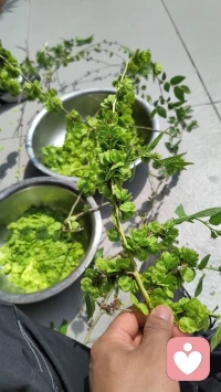 身边无人相伴，灵魂却渴望迎风展翅。
​
独处时心生落寞，始终向往自在远方。配图