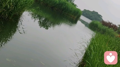 倾听是最温柔的治愈