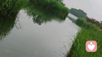 倾听是最温柔的治愈