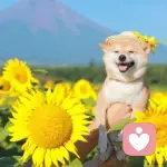 波特曼的头像