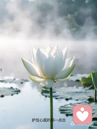 这世间最难的，是身处浊流依然能守住本心。

像一朵莲，把根深深扎进生活的泥土，把最干净的花瓣留给水面。

洁身自好，不是高高在上的清高，而是对这世间最大的尊重。

愿我们都能在这喧嚣中，护住心底的那份青涩与纯粹。若你安好，我便放心！❤️