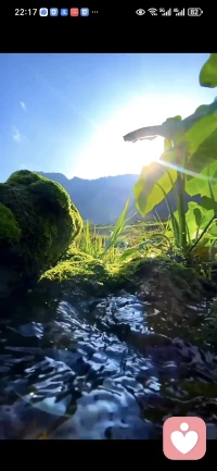 那些未被满足的渴望，并不会随着时间消失，它们会潜伏在潜意识深处，等待着被理解和安抚