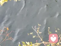 心事藏久了，真的会压垮一个人配图