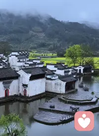 停止横向攀比，收起无端内耗，
每个人花期不同，慢慢生活，自有惊喜。