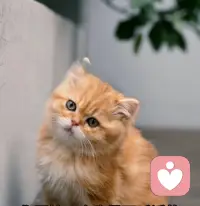 身体不会说谎，累了就会发出信号。各种身体不适提醒着我们该休息一下了，休息不单单指身体，还有我们的心灵，学着自我调节，张弛有度，才是长久的生活方式。