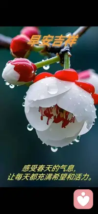 把烦恼留在昨天，带着热爱出发。好好生活，慢慢自愈，未来皆有惊喜。