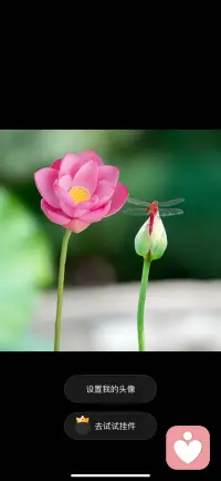 人这一生，最温柔的修行是学会和自己和解