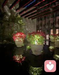 老子说：致虚极，守静笃。
真正的通透，从来不是逃离喧嚣，而是身处纷繁，仍能守住内心的清净与笃定。允许花开花落，接纳世事无常，接纳自己的不完美，也接纳生活的起落浮沉。配图