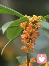 你可以不信佛，但你必须相信因果。相信你所失去的，都会以另外一种方式归来。而那些不属于你的，早晚也会还回去，求之有道，得之有命，顺其自然，万事随缘配图