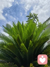 生活从来不缺风景
难的是有心来赏
静更是心静
不慌不忙
不卑不亢
万物静观皆自得配图