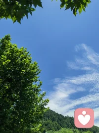 生命须要有裂缝，阳光才能照进来配图
