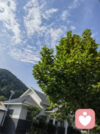 你弱，你的情绪就叫矫情；你强，你的情绪就叫性格。这世界从不公平，直到你变强为止配图
