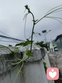 生活各自不易，个人所求不同，勿在别人心中修行自己，勿在自己心中强求别人；人生就是一个边走边悟的过程，那些你想不通的所有人与事，到最后，岁月都会替你轻描淡写。配图