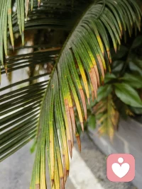 别想着拯救对方，特别在婚恋关系中，不但救不了，还可能被拖下水。配图