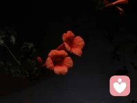不要过度窥探你的老公，好的婚姻都是各过各的，绝对的忠诚是不存在的。该演的戏要演，该装的模糊得装，该和解的和解，该牵线的牵线。婚姻本是一场合作，谁先睁眼，谁就输了。