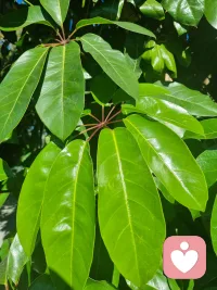 晨曦越过窗沿，轻轻落在你枕边——这是新的一天，也是全新的空白页。

你今天的模样：闹钟响起前就醒来，比昨天早一点迎接光。咖啡杯沿的热气，画出早晨第一笔潦草却自由的线条。真正的“被看见”，不是站在聚光灯下，而是你终于看清自己——你远比想象中坚韧，也比任何时候都值得。

今天，试着看见自己：为地铁上让出的座位骄傲，为会议上清晰的发言鼓掌。每一次微小的坚持，都在成为更好的自己。你存在的本身就是光，别再躲进别人的阴影里。

既然天已经亮了，就别把眼睛还给黑夜。出门去吧，带着你特有的光芒。路还长，天正亮。今天的你，值得被这世界看见，更值得被自己看见。配图