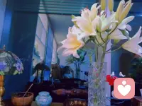 倾听是智慧的耳朵💞

是心灵的窗户💞

是沟通的桥梁💞

倾听，这一种平等开放的交流💞