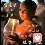 小草的头像
