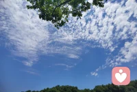阳光，蓝天，白云，微风，鲜花。
细细体会自然的馈赠，
让心灵与大自然共振。配图