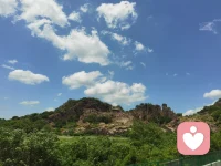 阳光，蓝天，白云，微风，鲜花。
细细体会自然的馈赠，
让心灵与大自然共振。配图