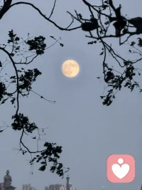 #失眠自救 拒绝内耗#不对抗，试与夜晚相处#不执着于快速入眠
明明知道喝了茶或者咖啡就会睡不着，但是我又一次抱着侥幸的心理喝了抹茶咖啡，双重精神！
夜里大脑格外清醒，翻来覆去毫无睡意😮‍💨
躺着用我的冥想放松法，从头到脚逐步去放松，还是很精神。
慢慢想通了：睡不着就别硬逼自己入睡
越是对抗，神经越紧绷。
不妨试着接纳当下，起身走动片刻，或是坐起来，专注感受腹部的一呼一吸，慢慢数息平复心绪。
静下心我就听到了夜晚独有的声音：晚风轻轻拂过树叶的沙沙声、虫鸣浅浅、偶尔几声低鸣鸟叫 好像孩子的梦话一般🌙
白天行色匆匆，从来没空留意这份静谧。
原来失眠的夜晚，也能收获一份独有的松弛与美好。
一会儿我不自觉就睡着了，还做了非常奇特的梦。
好好和黑夜相处，不执着于快速入眠，睡眠反而会悄悄找上门✨配图