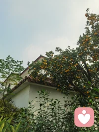 写给父母的一段话 🧩

如果你的孩子出现了叛逆、厌学、抑郁、社交焦虑……
请先停下来，问问自己：是不是我哪里出了问题？

孩子是父母的镜子。
你看到的“问题”，很可能只是你自己性格或做法里的倒影。

别急着指责孩子。
先自检，再自省。🔍配图