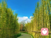人生好像只能向前奔赴，时光无法折返。
我们常常痛惜那些逝去的时光，
好在回忆拥有回溯的力量，每一次回望，都能短暂重遇从前的自己。配图