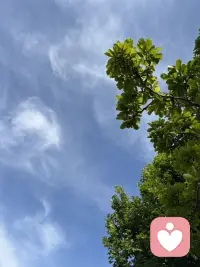 心理咨询师一枚，欢迎有需求的小伙伴链接！配图