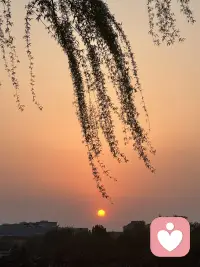 1.新的一天满是温柔与光亮，风带着暖意，阳光洒满前路。抛开琐碎烦恼，用心捕捉身边小美好，三餐安稳，事事顺遂，带着热忱奔赴日常，所有美好都在慢慢奔赴你，日子向阳，喜乐常在✨配图
