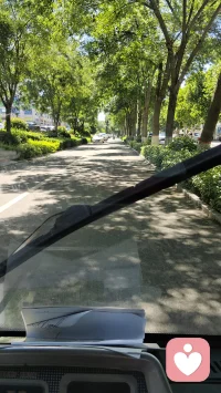 生活就像透过枝叶的阳光，拥抱它，接纳它，爱己爱它！配图