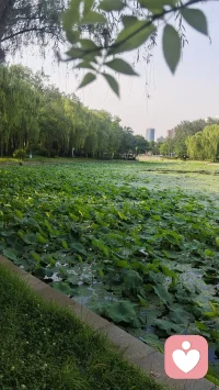 没有金钱支持的爱情都是耍流氓。因为有虚情假意，却没有虚情假币。
感情可以装出来，但是钱不会装，配图