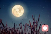 月圆将近，提前送上一份中秋祝愿🌙
很多情绪独自扛着会很累，如果当下你有心事想要倾诉梳理，我在这里等候！