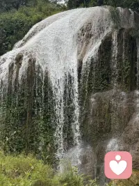 人生最好的状态，是向内安顿，向外从容。不再执着外界的声音，开始认真照顾自己，丰盈精神世界。配图