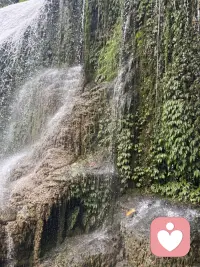 人生最好的状态，是向内安顿，向外从容。不再执着外界的声音，开始认真照顾自己，丰盈精神世界。配图