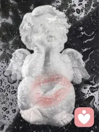 在世上你们有苦难，但你们可以放心，我已经胜了世界。
在患难中也是欢欢喜喜的。因为知道患难生忍耐，忍耐生老练，老练生盼望；盼望不至于羞耻。
旧事已过，全是新的啦。

细雨霏霏的日子，把尤加利和向日葵的花语一并送给你：尤加利象征 “守护”，向日葵象征 “希望”，合在一起——-我会永远守护你眼里的光”