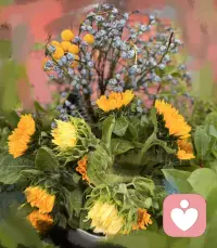 在世上你们有苦难，但你们可以放心，我已经胜了世界。
在患难中也是欢欢喜喜的。因为知道患难生忍耐，忍耐生老练，老练生盼望；盼望不至于羞耻。
旧事已过，全是新的啦。

细雨霏霏的日子，把尤加利和向日葵的花语一并送给你：尤加利象征 “守护”，向日葵象征 “希望”，合在一起——-我会永远守护你眼里的光”