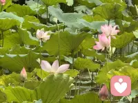 上帝说：那人独居不好，我要为他造一个配偶帮助他。
于是就用那人身上所取的肋骨造成一个女人，领她到那人跟前。  
茫茫人海，总有一个适合你的人在灯火处等你。男与女相遇结合为夫妻，完成合二为一 的身心一体。
如果，你对自己的婚姻，对自己的另一半有很多的怨言与期待，我们一起来聊一聊这个话题：我们为什么结婚，为什么要有这个婚姻。
