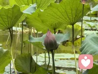 上帝说：那人独居不好，我要为他造一个配偶帮助他。
于是就用那人身上所取的肋骨造成一个女人，领她到那人跟前。  
茫茫人海，总有一个适合你的人在灯火处等你。男与女相遇结合为夫妻，完成合二为一 的身心一体。
如果，你对自己的婚姻，对自己的另一半有很多的怨言与期待，我们一起来聊一聊这个话题：我们为什么结婚，为什么要有这个婚姻。