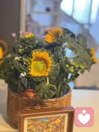 旅途日记—-说说旅行疗愈自己的点事儿。
爱上旅行，是因为它给了我们一种“随时可以重新开始”的勇气。哪怕只是精神上的出走，也能让灵魂透透气。
如果明天就能出发，你心里第一个想飞去的地方是哪儿？或许那份期待本身，就是爱意的起点。✈️

爱上旅行，和喜欢旅行是两码事。喜欢是“图个新鲜”，而爱上，往往是在旅途中意外地修复了内心某个角落。与其说是爱上“远方”，不如说是爱上了在远方时那个彻底舒展开来的自己。

具体来说，这爱意往往诞生于这几个瞬间：

1. 爱上那种“人生被拉长”的错觉
日常的生活是按了快进键的，周一和周三没什么区别。但在旅途中，因为充满了新记忆，一天变得像三天那么长。你会在某个傍晚突然恍惚：“我真的是昨天早上才到这里的吗？”这种时间的饱满感，让你觉得生命被偷偷延长了。爱上旅行，其实是贪恋这种“赚到了时间”的富足。

2. 爱上“被世界温柔接住”的感动
在陌生的街头，语言不通却有人耐心给你指路；在偏远的车站，陌生人看你疲惫，默默挪出半个座位。这些毫无预设的善意，像一床柔软的棉被，接住了你所有的防备。你会爱上这种人与人之间最本真的连接，它让你相信，世界虽然很大，但并没有那么可怕。

3. 爱上“无用”的浪漫
不用赶PPT，不用回消息，你可以花整个下午看一只猫在墙头打盹，或者因为一片好看的云而临时改变路线。这种彻底挣脱功利逻辑的自由，是旅行给予的最高奖赏。你爱上的是那个不再计算“性价比”的自己，原来生活可以这么“浪费”得心安理得。

4. 爱上“失控”带来的惊喜
完美攻略往往让人失望，而走错路偶遇的小馆子却成为终身难忘的味道。你会慢慢爱上这种把“意外”当成礼物的能力。曾经让你焦虑的不确定性，在旅途中变成了有趣的冒险——你爱上的是那个学会和命运即兴共舞的自己。

5. 最重要的，爱上“回家的路”
走得越远，越清楚什么对自己真正重要。当你拖着行李箱站在自家楼下，看着那扇熟悉的窗户，心里不再有厌倦，而是带着“我见过世界，但我选择回来”的笃定。旅行最大的后劲，是让你重新爱上了平凡生活里那些被忽略的光。

说到底，爱上旅行，是因为它给了我们一种“随时可以重新开始”的勇气。哪怕只是精神上的出走，也能让灵魂透透气。

如果明天就能出发，你心里第一个想飞去的地方是哪儿？或许那份期待本身，就是爱意的起点。✈️