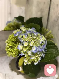 旅途日记—-说说旅行疗愈自己的点事儿。
爱上旅行，是因为它给了我们一种“随时可以重新开始”的勇气。哪怕只是精神上的出走，也能让灵魂透透气。
如果明天就能出发，你心里第一个想飞去的地方是哪儿？或许那份期待本身，就是爱意的起点。✈️

爱上旅行，和喜欢旅行是两码事。喜欢是“图个新鲜”，而爱上，往往是在旅途中意外地修复了内心某个角落。与其说是爱上“远方”，不如说是爱上了在远方时那个彻底舒展开来的自己。

具体来说，这爱意往往诞生于这几个瞬间：

1. 爱上那种“人生被拉长”的错觉
日常的生活是按了快进键的，周一和周三没什么区别。但在旅途中，因为充满了新记忆，一天变得像三天那么长。你会在某个傍晚突然恍惚：“我真的是昨天早上才到这里的吗？”这种时间的饱满感，让你觉得生命被偷偷延长了。爱上旅行，其实是贪恋这种“赚到了时间”的富足。

2. 爱上“被世界温柔接住”的感动
在陌生的街头，语言不通却有人耐心给你指路；在偏远的车站，陌生人看你疲惫，默默挪出半个座位。这些毫无预设的善意，像一床柔软的棉被，接住了你所有的防备。你会爱上这种人与人之间最本真的连接，它让你相信，世界虽然很大，但并没有那么可怕。

3. 爱上“无用”的浪漫
不用赶PPT，不用回消息，你可以花整个下午看一只猫在墙头打盹，或者因为一片好看的云而临时改变路线。这种彻底挣脱功利逻辑的自由，是旅行给予的最高奖赏。你爱上的是那个不再计算“性价比”的自己，原来生活可以这么“浪费”得心安理得。

4. 爱上“失控”带来的惊喜
完美攻略往往让人失望，而走错路偶遇的小馆子却成为终身难忘的味道。你会慢慢爱上这种把“意外”当成礼物的能力。曾经让你焦虑的不确定性，在旅途中变成了有趣的冒险——你爱上的是那个学会和命运即兴共舞的自己。

5. 最重要的，爱上“回家的路”
走得越远，越清楚什么对自己真正重要。当你拖着行李箱站在自家楼下，看着那扇熟悉的窗户，心里不再有厌倦，而是带着“我见过世界，但我选择回来”的笃定。旅行最大的后劲，是让你重新爱上了平凡生活里那些被忽略的光。

说到底，爱上旅行，是因为它给了我们一种“随时可以重新开始”的勇气。哪怕只是精神上的出走，也能让灵魂透透气。

如果明天就能出发，你心里第一个想飞去的地方是哪儿？或许那份期待本身，就是爱意的起点。✈️