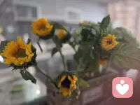 我们做孩子希望的父母，
孩子才能做父母希望的孩子。