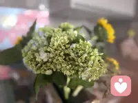 我们做孩子希望的父母，
孩子才能做父母希望的孩子。