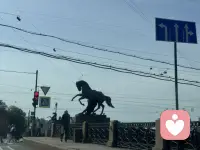 万物万事都有好与坏的两面性，每个人的切入点不同，所得感悟就不同——乐观者永远前行，悲观者永远正确。