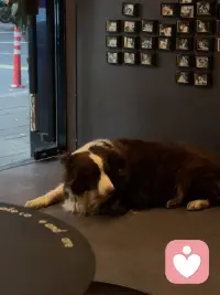 不必纠结失去的
也不必担心未来会怎么样
过好当下就好了
人总会在逆境中成长的配图
