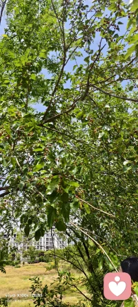 新人倾听师报到！今天正式入驻给力心理啦。
初次踏上倾听陪伴这条路，没有太多华丽的话术，只愿意安静接住每一份无处安放的情绪。
如果你有委屈、内耗、心结，或是单纯想找人好好说说话，我都在这里耐心等候，认真倾听，温柔陪伴。往后多多关照哈。