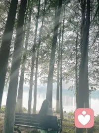 清晨的第一缕阳光清晨的第一缕阳光，是树林睁开的眼睛。安静的站在光中，一束一束的光，像竖琴的弦，风来时，整片林子轻轻弹奏。我靠在树干上，泥土的气息缓缓从脚底漫上来，我听见自己的心跳和树汁流动的声音渐渐合在一起🌳#清晨第一缕阳光#大自然的气息#拥抱大树#吸收土地的能量#蓝灵的倾听陪伴#与自然合一