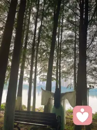 清晨的第一缕阳光清晨的第一缕阳光，是树林睁开的眼睛。安静的站在光中，一束一束的光，像竖琴的弦，风来时，整片林子轻轻弹奏。我靠在树干上，泥土的气息缓缓从脚底漫上来，我听见自己的心跳和树汁流动的声音渐渐合在一起🌳#清晨第一缕阳光#大自然的气息#拥抱大树#吸收土地的能量#蓝灵的倾听陪伴#与自然合一