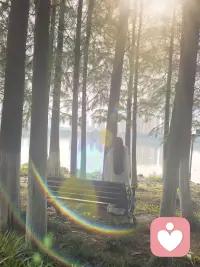 清晨的第一缕阳光清晨的第一缕阳光，是树林睁开的眼睛。安静的站在光中，一束一束的光，像竖琴的弦，风来时，整片林子轻轻弹奏。我靠在树干上，泥土的气息缓缓从脚底漫上来，我听见自己的心跳和树汁流动的声音渐渐合在一起🌳#清晨第一缕阳光#大自然的气息#拥抱大树#吸收土地的能量#蓝灵的倾听陪伴#与自然合一