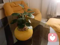 夜渐深，点一盏心灯在这里，聆听你的心声。